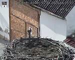 Capi_Dubne_20250402_160503.jpg