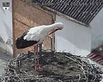 Capi_Dubne_20250402_161003.jpg