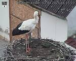 Capi_Dubne_20250402_161503.jpg