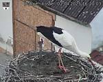 Capi_Dubne_20250402_162003.jpg