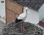 Capi_Dubne_20250402_163503.jpg