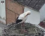 Capi_Dubne_20250402_164003.jpg