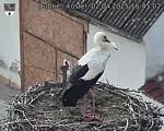 Capi_Dubne_20250402_164502.jpg