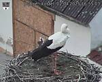 Capi_Dubne_20250402_165503.jpg