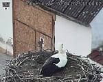 Capi_Dubne_20250402_170002.jpg