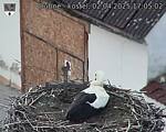 Capi_Dubne_20250402_170502.jpg
