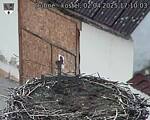 Capi_Dubne_20250402_171003.jpg