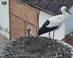 Capi_Dubne_20250402_172002.jpg
