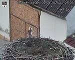 Capi_Dubne_20250402_172503.jpg