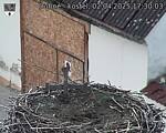 Capi_Dubne_20250402_173003.jpg