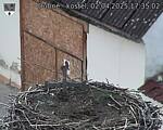 Capi_Dubne_20250402_173502.jpg