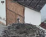 Capi_Dubne_20250402_174003.jpg