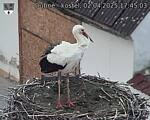 Capi_Dubne_20250402_174503.jpg
