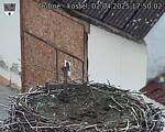 Capi_Dubne_20250402_175002.jpg