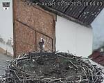 Capi_Dubne_20250402_180003.jpg