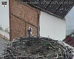 Capi_Dubne_20250402_180503.jpg