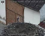 Capi_Dubne_20250402_181503.jpg