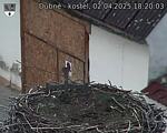 Capi_Dubne_20250402_182003.jpg
