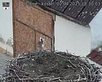 Capi_Dubne_20250402_183003.jpg