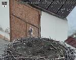 Capi_Dubne_20250402_183503.jpg