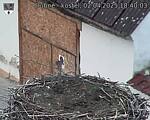Capi_Dubne_20250402_184003.jpg
