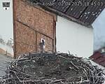Capi_Dubne_20250402_184503.jpg