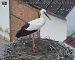 Capi_Dubne_20250402_185002.jpg