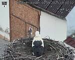Capi_Dubne_20250402_190002.jpg