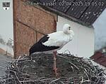 Capi_Dubne_20250402_190502.jpg