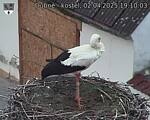 Capi_Dubne_20250402_191003.jpg