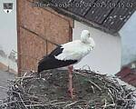 Capi_Dubne_20250402_191502.jpg