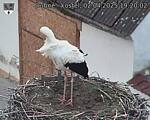 Capi_Dubne_20250402_192002.jpg