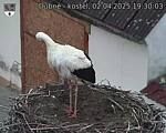 Capi_Dubne_20250402_193003.jpg
