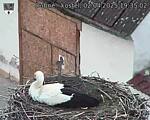Capi_Dubne_20250402_193502.jpg