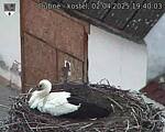 Capi_Dubne_20250402_194003.jpg