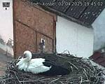 Capi_Dubne_20250402_194502.jpg