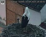 Capi_Dubne_20250402_195002.jpg