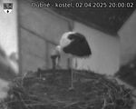 Capi_Dubne_20250402_200002.jpg