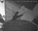 Capi_Dubne_20250402_201002.jpg