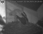 Capi_Dubne_20250402_202003.jpg