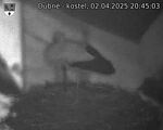 Capi_Dubne_20250402_204503.jpg