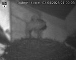 Capi_Dubne_20250402_210003.jpg