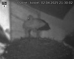 Capi_Dubne_20250402_213003.jpg