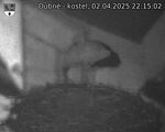 Capi_Dubne_20250402_221502.jpg