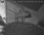 Capi_Dubne_20250402_222002.jpg