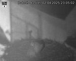 Capi_Dubne_20250402_230502.jpg
