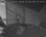 Capi_Dubne_20250402_231003.jpg