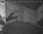 Capi_Dubne_20250402_231502.jpg