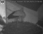 Capi_Dubne_20250402_235002.jpg