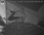 Capi_Dubne_20250403_000502.jpg